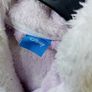 FROZEN dressing gown Image 3
