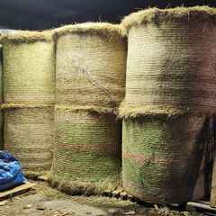 Hay