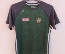 offaly gaa jersey