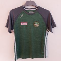 offaly gaa jersey