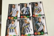 Panini Champions League Cards