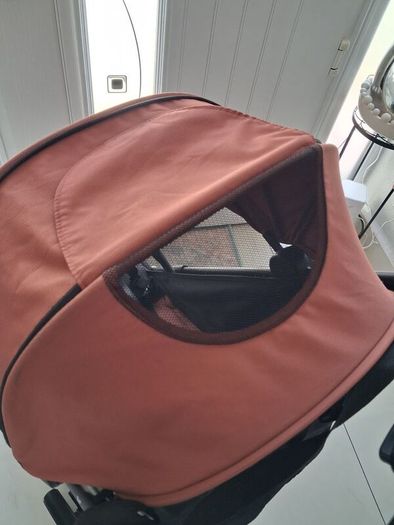 travel buggy