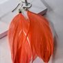 Boho Indie Burnt Orange Feather Earrings Image 2