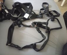 Dog bundle