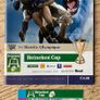 2003 Leinster v Biarritz - Heineken Cup Programme & Ticket Image 3
