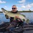 yomo44