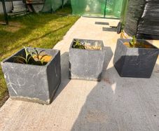 pots