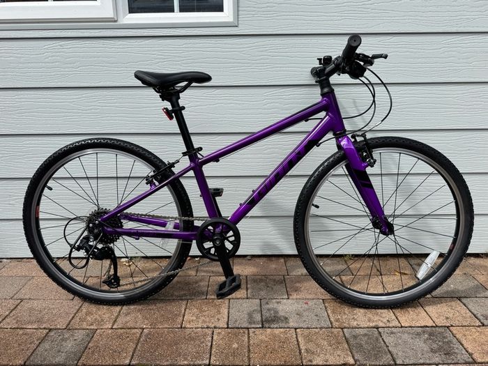 Giant ARX 24" Junior Bike - Purple