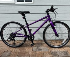Giant ARX 24" Junior Bike - Purple