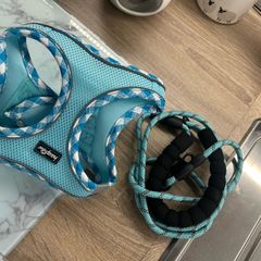 dog harness and lead for dog 5-7 kg