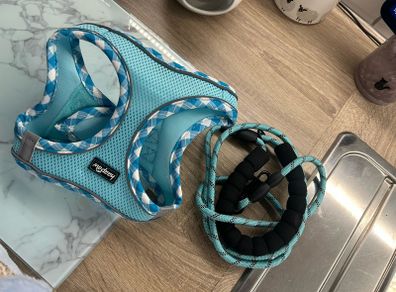 dog harness and lead for dog 5-7 kg