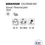 (G) Geranium Colorama Mix seeds 0.1g (430147) Plant Today Image 2