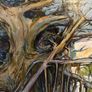Original oil painting - Albert B Ogden Image 2