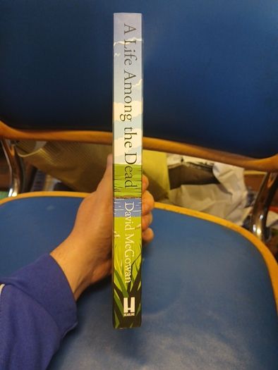 A Life Among The Dead - David McGowan