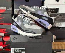 Nike Air Max 90 Photon Dust Light Thistle DM0029-014