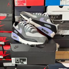 Nike Air Max 90 Photon Dust Light Thistle DM0029-014