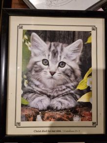 Christ died for our sins cat