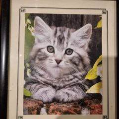 Christ died for our sins cat