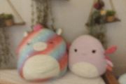 Squishmallows