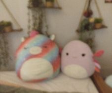 Squishmallows