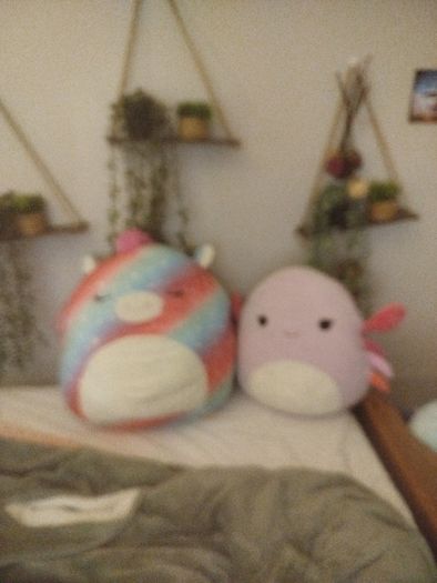 Squishmallows