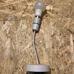 8x Bulb with holder, 5 euro each