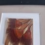 Unique artwork from Ocean Petals art studio are handmade with real Australian native fliowers Image 4