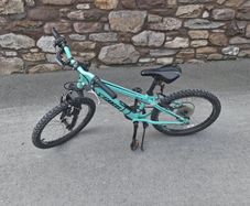 20-inch kids' bike