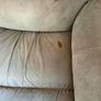 sofa's Image 4
