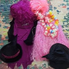 Adult/teen witch + Hawaiian  Costume