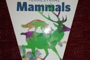 Irish Mammals Swatch Guide