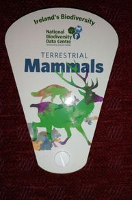 Irish Mammals Swatch Guide