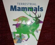 Irish Mammals Swatch Guide