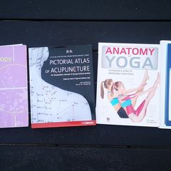 Holistic Therapy Books