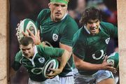 2010 Ireland v Argentina - November International Programme
