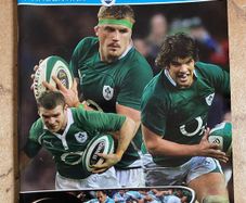 2010 Ireland v Argentina - November International Programme