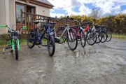 ebike bosch hercules new ebike