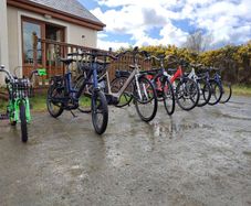ebike bosch hercules new ebike