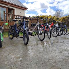 ebike bosch hercules new ebike