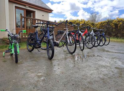 ebike bosch hercules new ebike