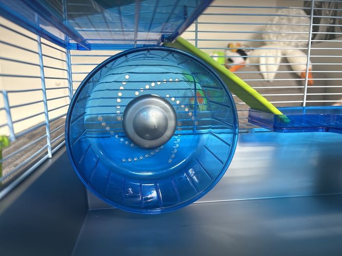 hamster cage