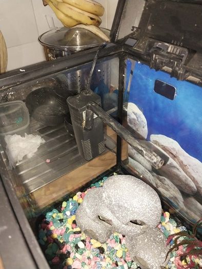 40 liter full glass aquarium with 2 filters and lots of extras