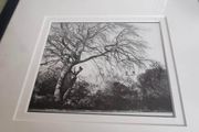 Framed Black And White Photo Print.