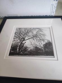 Framed Black And White Photo Print.