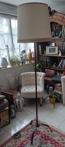 Antique French floor lamp cast iron beautiful shade works
