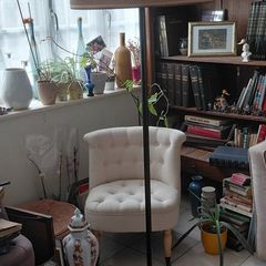Antique French floor lamp cast iron beautiful shade works