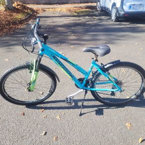 Camaro Stepthrough Mountain bike