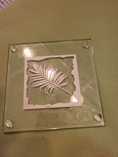 place mats and cpasters x8