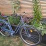 Womens Bike - Excellent condition Image 3
