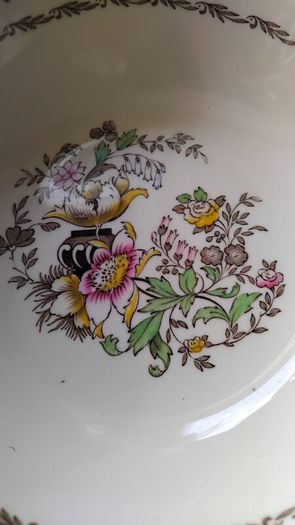 Alfred Meakin Jerome Hand  Painted